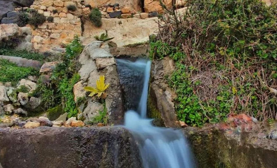 Gardens * دانا